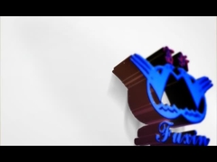 佛山市富实新高分子纤维有限公司宣传视频